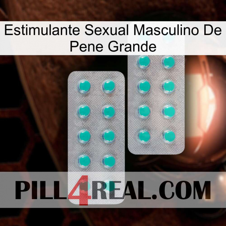 Big Penis Male Sexual Stimulant 29